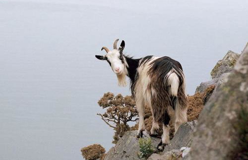 The Granary - Foto 9