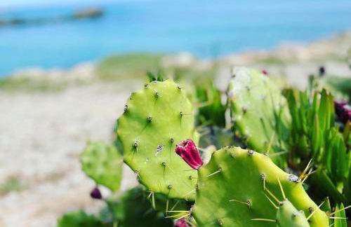 Villa dell’Orsa - Foto 52