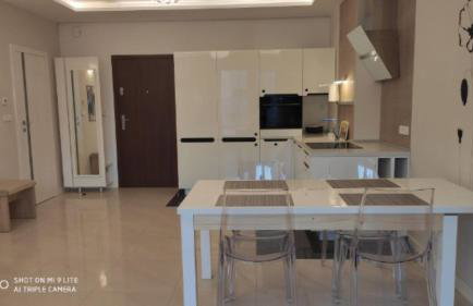 LuxApartament 2 - z dużym tarasem i garażem w nowym Zeta Park - Photo 7