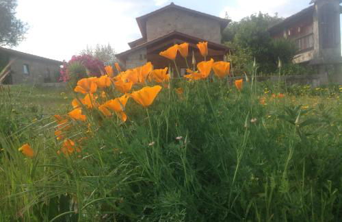 Casa de Romao - Foto 32