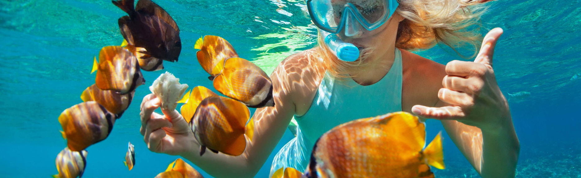 Snorkel en la Pared de El Palmar