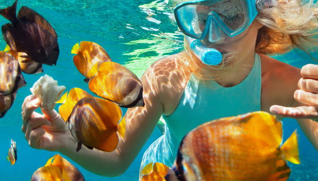 Snorkeling alla Pared de El Palmar - Foto 4