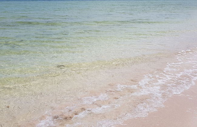 Casa de los peces - Foto 18