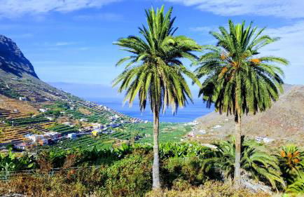 Casa Tajaraste - Foto 39