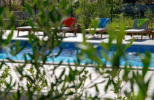 Villa Macanovi dvori with private pool - Photo 33