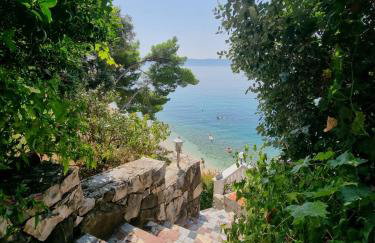 Apartmani Anda - Photo 5