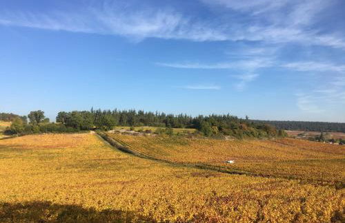 La Maison du Clos du Roi - Foto 27