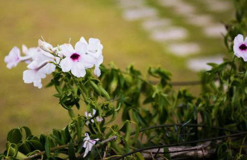 Dallas Hotel - Foto 17