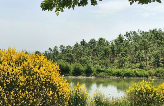 Borgo Poggio Bianco - Photo 60