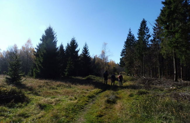 Cosy Apartment in Nohfelden - Foto 11