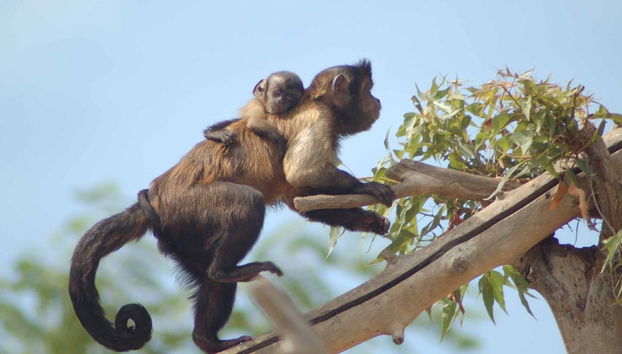 Terra Natura Benidorm - Special Winter Offer !! - Photo 5