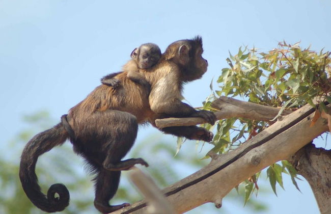 Terra Natura Benidorm - ¡¡Oferta Especial Invierno!! - Foto 5