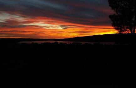 Monte da Tojeirinha - Foto 17