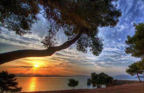 Theologos: Front Sea View Apartment - Foto 1