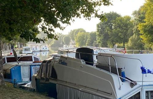 Les appartements de l'Orangerie, rives de Jarnac - Foto 10