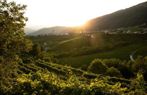 Oasi di pace nel sito UNESCO del Prosecco DOCG - Foto 15