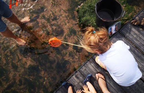 Beautiful Mill House by the sea, Nolton Haven - Foto 73
