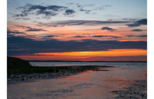 Apartamenty i Domki Osińscy - Foto 64