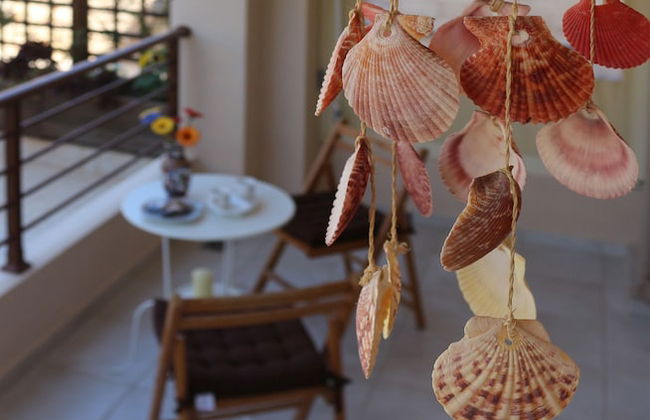 Helianthus - Foto 14