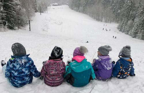 Willa Widokówka Lubawka - Foto 53