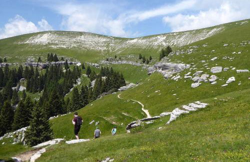 Villa Dolce Bosco with Pool, Valdobbiadene - Foto 38