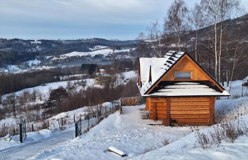 Domek Muflon w Górach Sowich - Foto 26