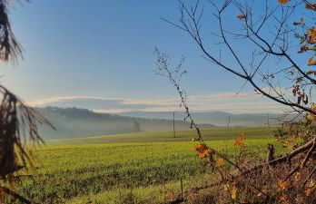 Apartmenthaus Haus am Grün 2 - Foto 26