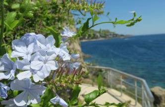 Las Rocas - Casa Diaz - Foto 45