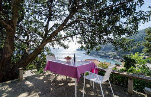 Guest House Kralj - Photo 3