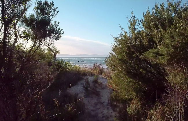 Bear Gully Coastal Cottages - Foto 23