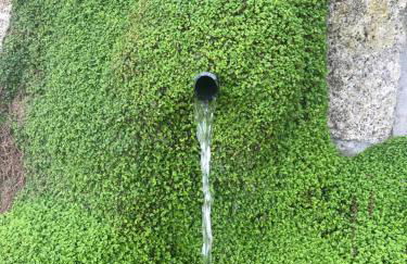 Quinta da Vinha do Souto - Foto 19