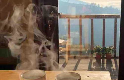 Casas na montanha vistas fantásticas com piscina - Foto 34