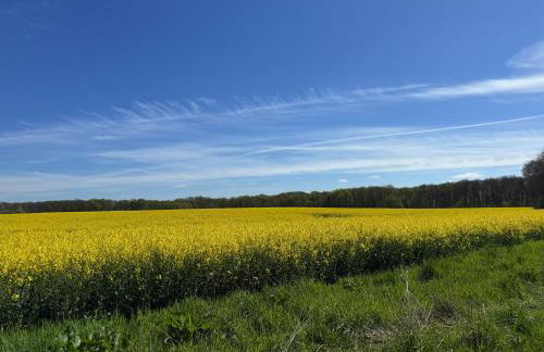 Ferienwohnung Sommerwind - Foto 16