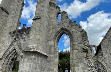"Altes Haus" am Kurpark in den Bergen - Foto 35