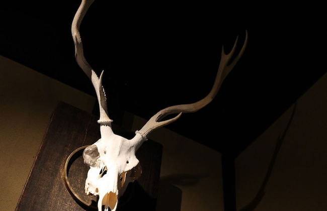 Usagi No Nedoko - Foto 28