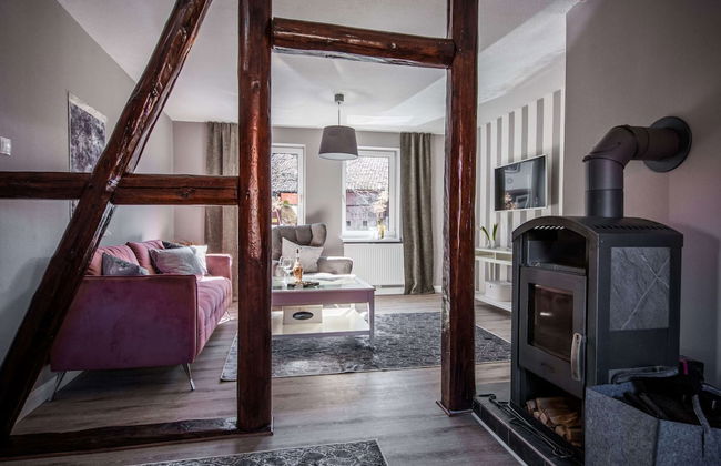 Apartment in Harz With Terrace and Fireplace - Photo 2