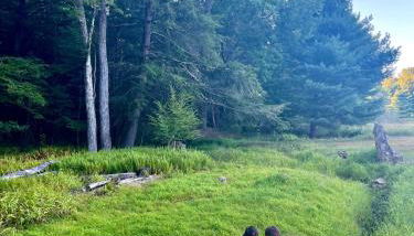 Cozy Creek House - Photo 3