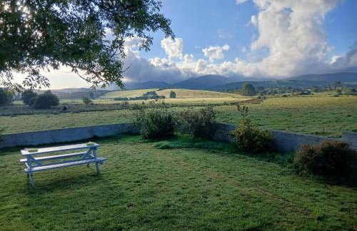 Oaktree Manor - BBQ, games rooms and pet friendly - Photo 25