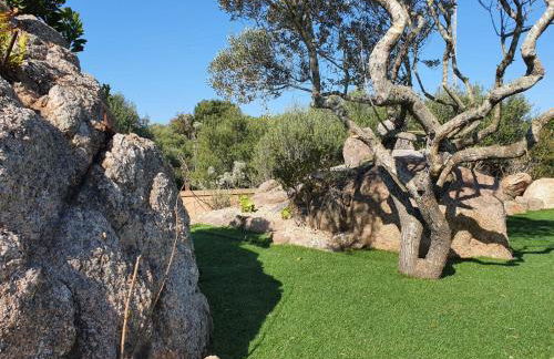 VILLA PETRA - Foto 20