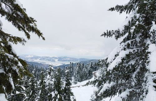 Cosy lake house, μια ανάσα πριν τη λίμνη - Photo 35