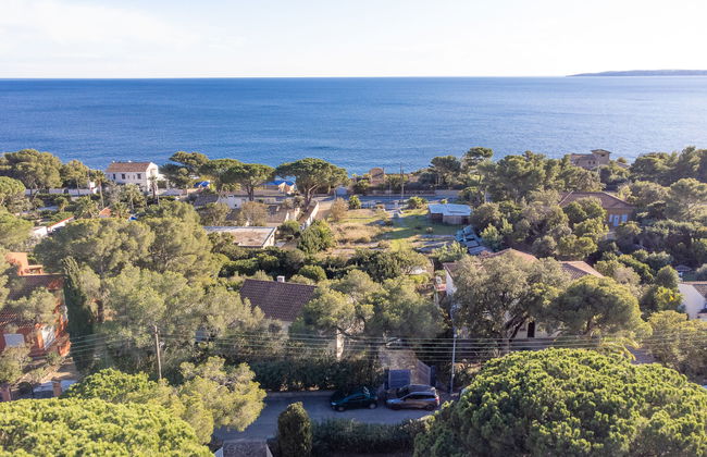 Pigeon Vole - Foto 34