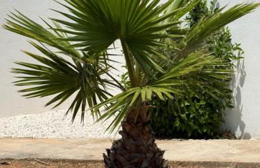 Solar dos Lirios - Foto 68