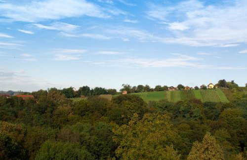 Kraljeva hiža - Apartmani i sobe Kralj - Foto 69