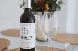 El Rincón de Alquézar - Photo 12