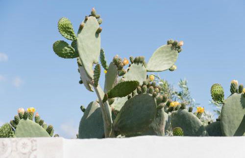 Le Casette di Alice - Foto 22