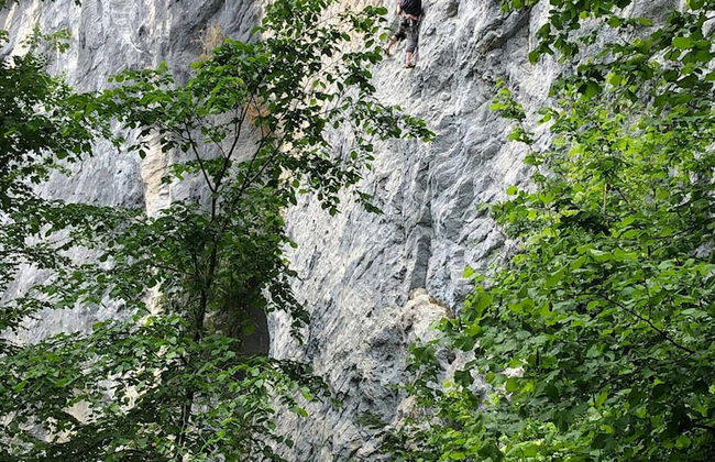 Comfort Apartment Goisernperle - Near Hallstatt - Foto 55