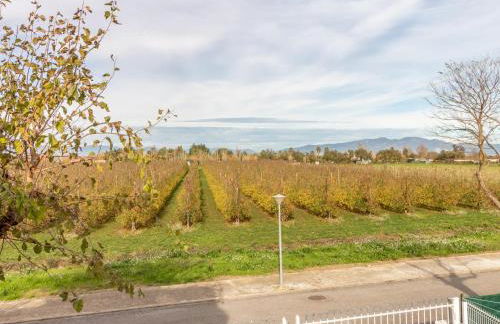 Casa de Vacaciones con Piscina, Jardín, A.A, Barbacoa, Wifi y Parking, Cerca de la Playa - ES-89-78 - Foto 28