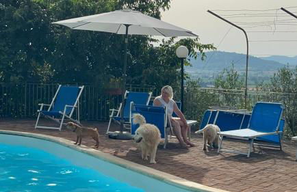 SetterHouseAgriHotel - Photo 38