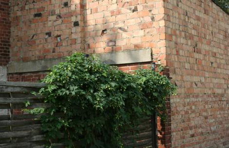 Business Lounge Potsdam - Foto 14