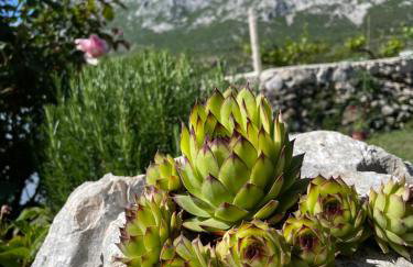 Apartman Natura - Foto 21